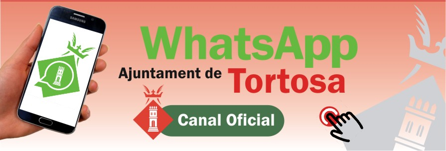 CANAL OFICIAL WHATSAPP