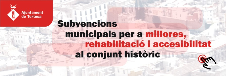 Subvencions c. historic