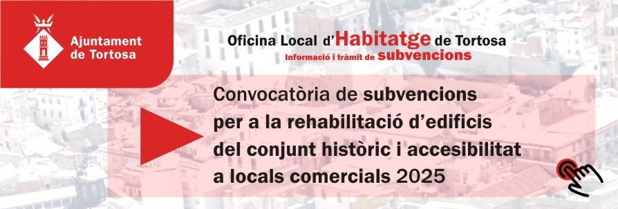 SUBVENCIONS CONJUNT HISTÒRIC 2025